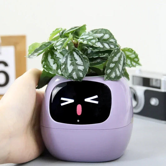 Smart pot