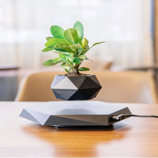 Levitating Air Bonsai